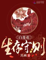 白莲花守则快穿