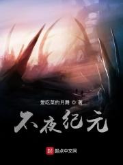 不夜城后续
