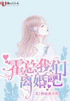 霍时琛我们离婚吧免费