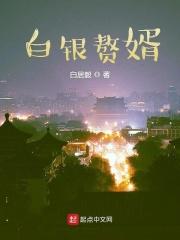 赘婿第二百章