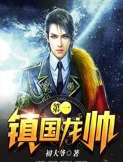 镇国龙帅叶秋txt