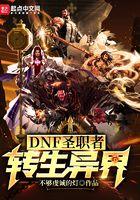 dnf圣职者平民转什么职业好