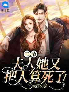 爷夫人又去摆摊算命了全文免费阅读