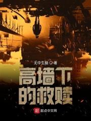 高墙里的男人全集