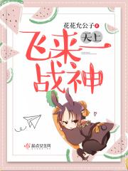 天上飞来一架小飞机仿写