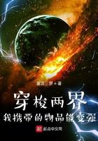 穿梭两界的军火