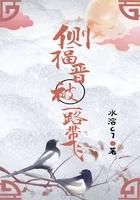 侧福晋和侧妃
