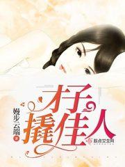 才子佳人集成