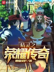 神奇宝贝之智爷传奇 泗玖