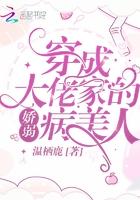 穿成大佬家的娇弱病美人在线阅读