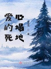 死心塌地的去爱歌词