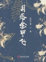 月落金陵生花梦