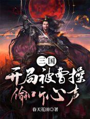 三国咸鱼赘婿