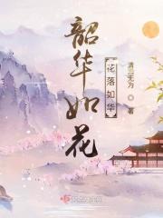 韶华如驶什么意思