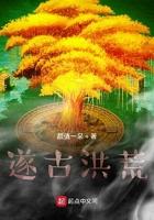 遂古洪荒txt