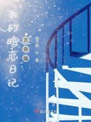 暗恋日记冬情
