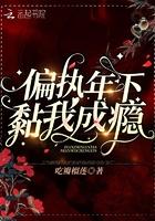 偏执黏人宠文