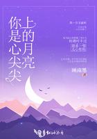 心尖上的你作者