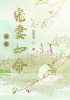 丞相宠妻日常男主是谁