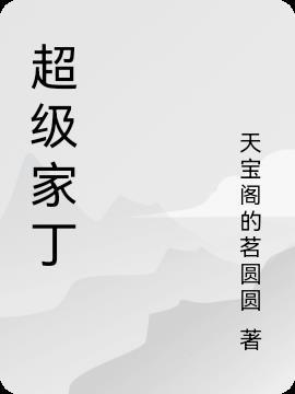 超级家丁全文阅读