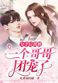 全职高手番外篇讲的什么