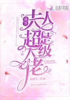 盛爷狂宠