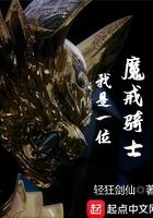 魔戒骑士介绍