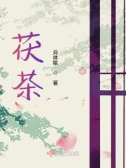茯茶可以闷泡吗