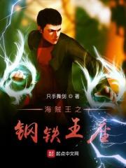 海贼王之钢链手