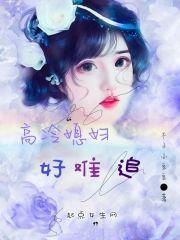 高冷老公惹不起简介