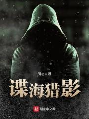 谍海猎影 百度
