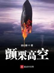 颤栗高空TXT