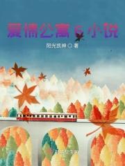 爱情公寓全本