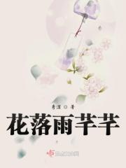 花落雨任然歌曲