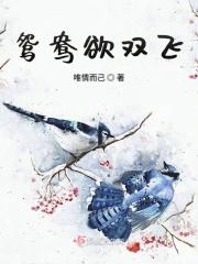 鸳鸯双双飞是什么歌