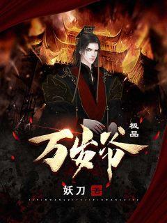 极品万岁爷全本免费阅读txt