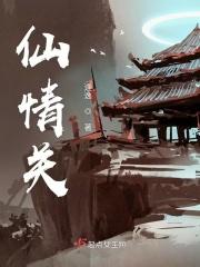 仙情关是哪部的