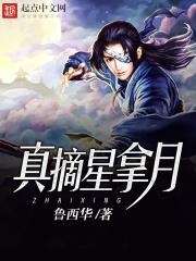 摘星是啥