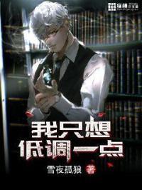 我只想低调啊txt