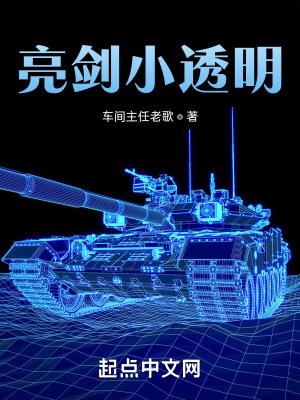亮剑的衣服