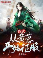 综武从黄蓉开始征服起点
