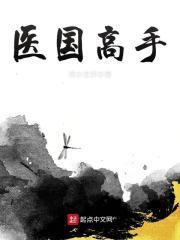 国医高手全文